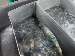 -芭提雅Amporn Seafood自助餐厅