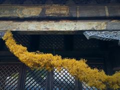 -嵩祝寺及智珠寺