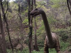 -木兰云雾山