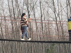 -合肥滨湖国家森林公园