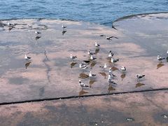 -星海广场