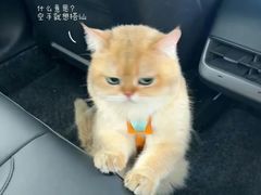 -宠颐生宠物医院外科·内科·皮肤科·影像科(石龙店)