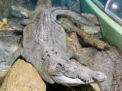 -上海海洋水族馆