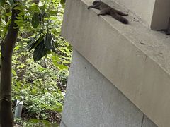 -宁波九龙湖开元度假村
