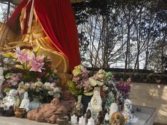 -上海佘山国家森林公园天马山园