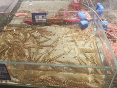 -渔傅·霞浦滩涂海鲜(建平店)