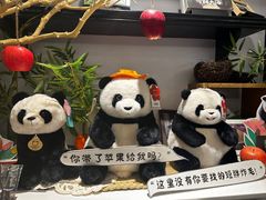 -轩客会(熊猫书店)