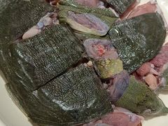 -蚝歌(中山七路店)