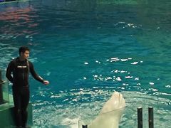 -威海华夏城景区