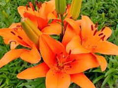 -长春公园(普阳街道)