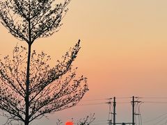 -南沙十九涌渔人码头-南门