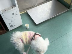 -东方动物医院·宠保定点·骨科·转诊中心(春城路·昆明站分院)