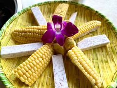 -墨脱石锅椰子鸡•香草鸭•东山羊(大东海店)