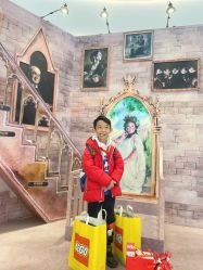-乐高授权专卖店(南开大悦城店)