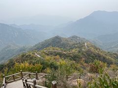 -大岭沟猕猴桃谷风景区