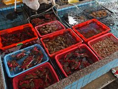 -霞涌市场海鲜摆卖区