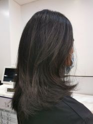 -YESIDO椰岛造型