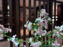 -九福楼大酒店