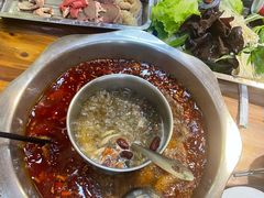 -金鼎雪山牦牛杂火锅(理县总店)