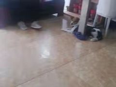 -A猫a狗全科·犬猫异宠·芥西宠物医院(南开总院)