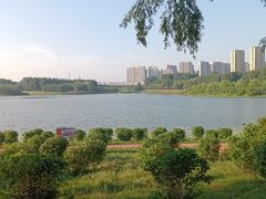 -丁香湖公园
