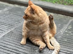 -重庆建川博物馆