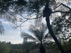 -晓港公园