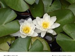 -终南山南五台景区