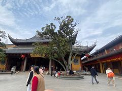 -龙华素斋(龙华路店)