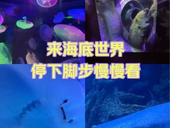 -太平洋海底世界