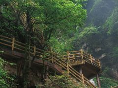 -碧峰峡风景区