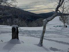 -雪谷