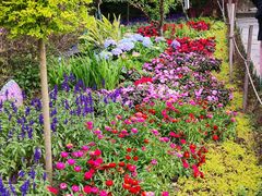 -庐山风景区花径公园