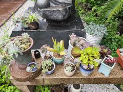 -阮氏酒家(柯桥店)