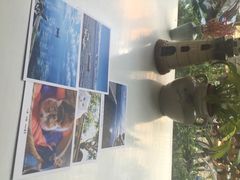 Anne猫窝咖啡屋-Anne猫窝咖啡屋