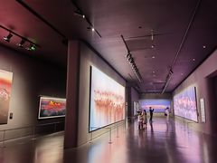 -罗红摄影艺术馆