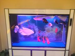 -华夏良子·足道SPA艾灸(三里屯店)
