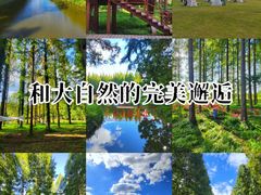 -黄海国家森林公园