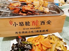 -福苗小骆驼烧烤(大唐不夜城店)