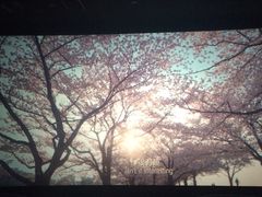 -南宁时代电影大世界(CGS激光中国巨幕)