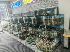 -仙螺岛海鲜自助餐厅(总店)