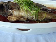 -欢乐海岸美食联盟