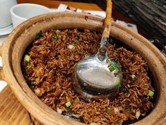 凤城双蚝饭-大榕树下顺德菜(融创茂店)