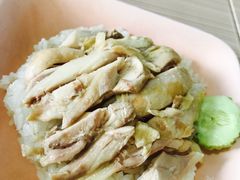 -鸡饭店