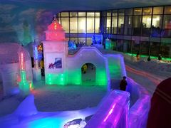-世界之窗阿尔卑斯冰雪世界