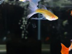 -海上海弘基休闲广场