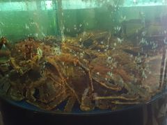 -蟹之国·精品蟹料理(极地店)