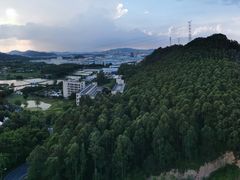 -美的鹭湖森林度假区