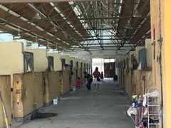 -松声马术俱乐部