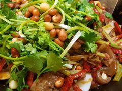 -小叫驴养生驴肉火锅(龙游店)